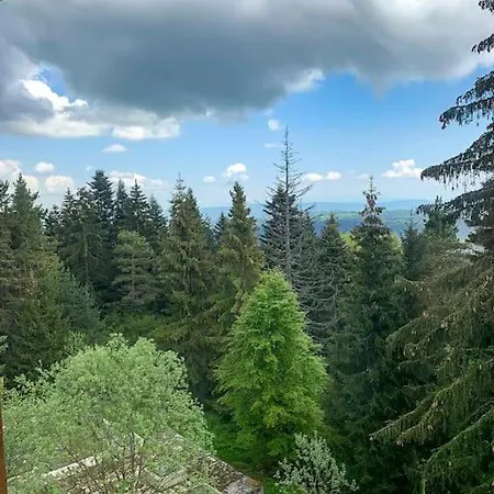 Apartman 2 Bedroom 